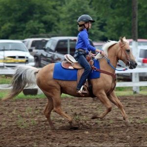 Meet your Posher, Brandy